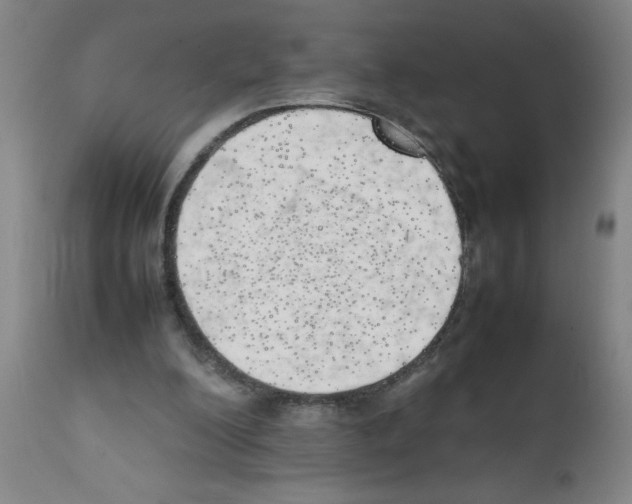 X0000111490200200908251034
