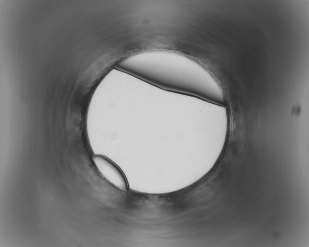 X0000111490201200908251034