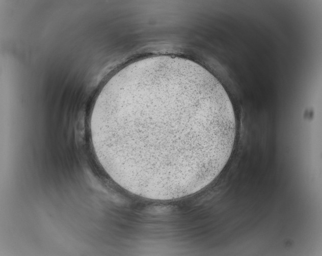 X0000111490202200908251034