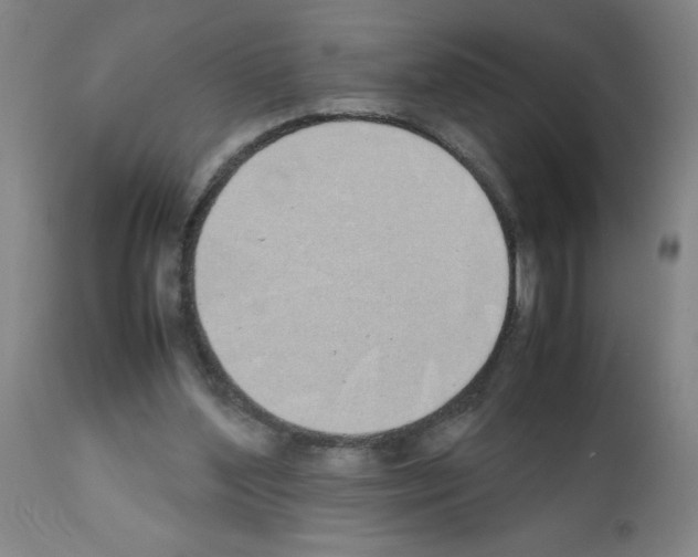 X0000111490204200908251034