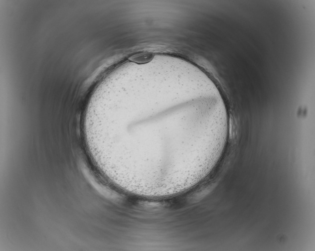 X0000111490205200908251033