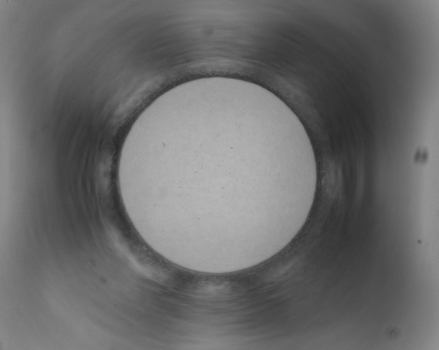 X0000111490206200908251033