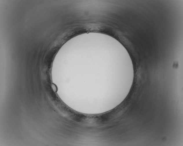 X0000111490209200908251033