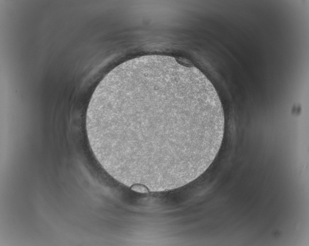 X0000111490211200908251033