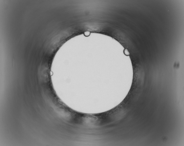 X0000111490215200908251033