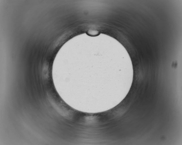 X0000111490216200908251033