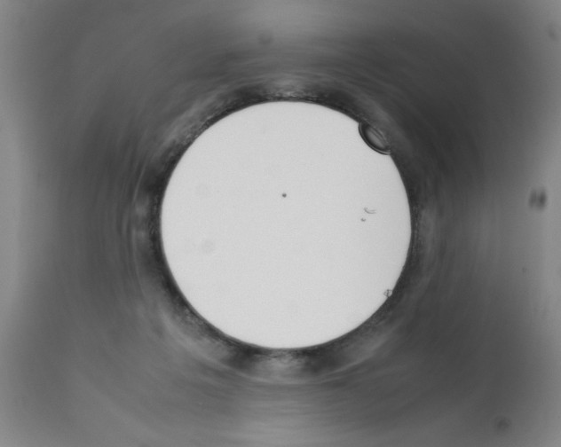 X0000111490217200908251033