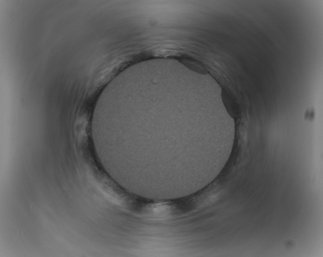 X0000111490219200908251033