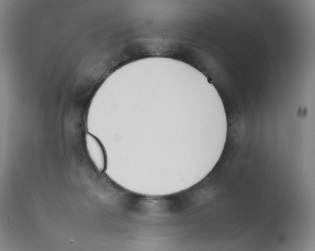 X0000111490221200908251033