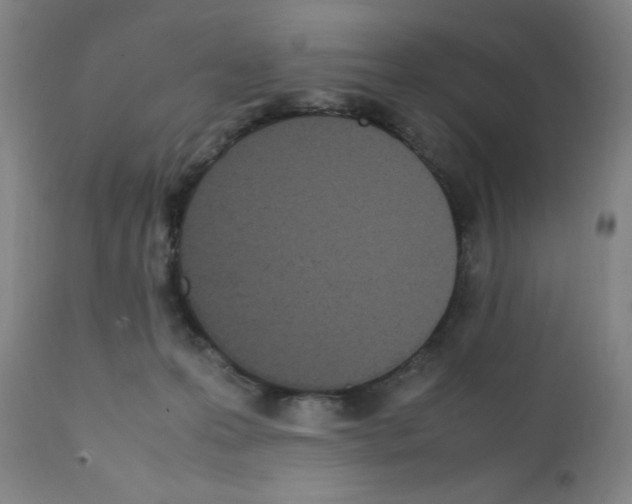 X0000111490223200908251033