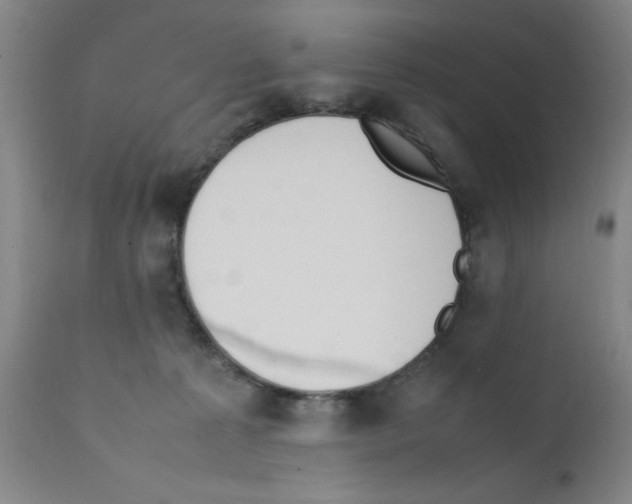 X0000111490225200908251033