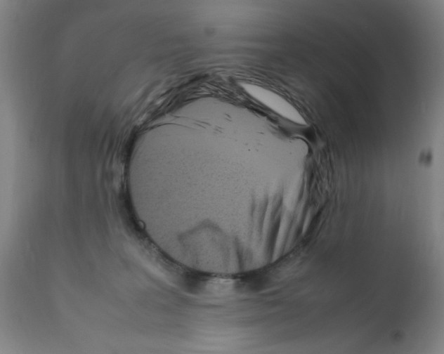 X0000111490227200908251033