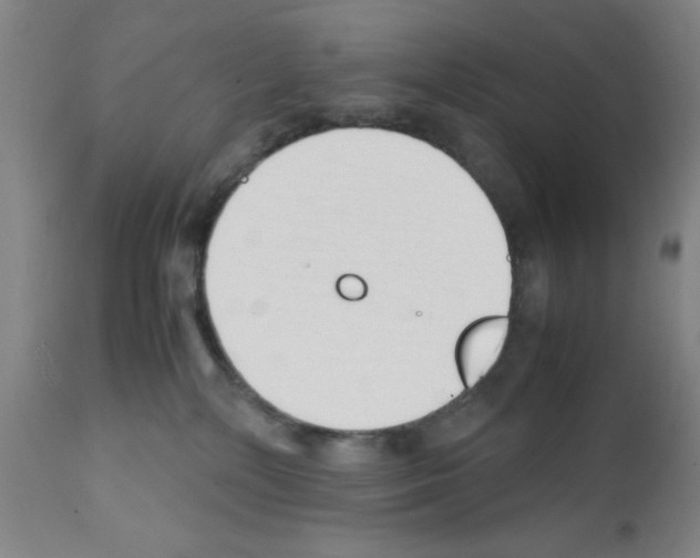 X0000111490232200908251033
