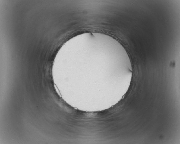 X0000111490233200908251033