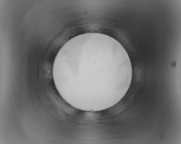 X0000111490234200908251033