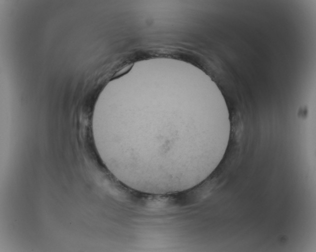 X0000111490235200908251033