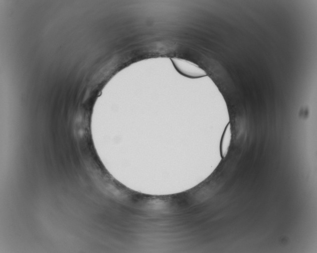 X0000111490236200908251033