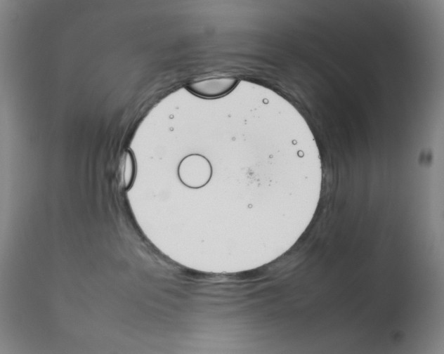X0000111490237200908251033