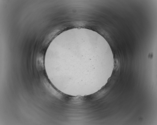 X0000111490238200908251033