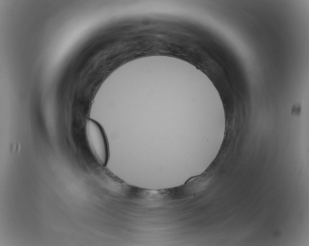 X0000111490239200908251033