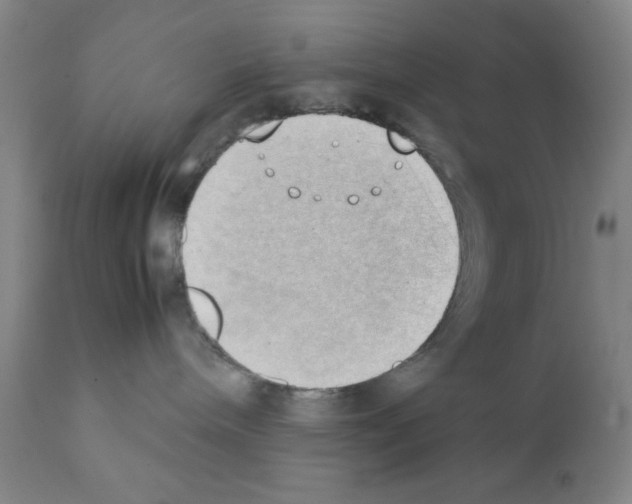 X0000111490240200908251033