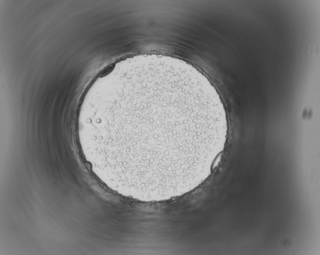 X0000111490241200908251032