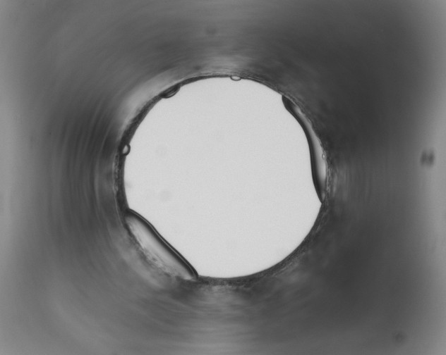 X0000111490244200908251032