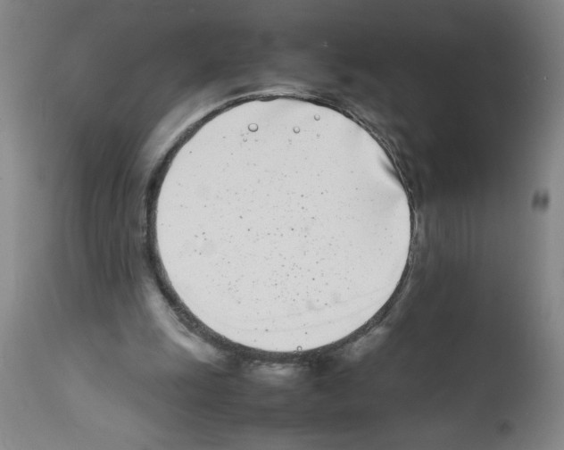 X0000111490247200908251032