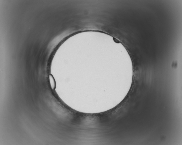 X0000111490248200908251032