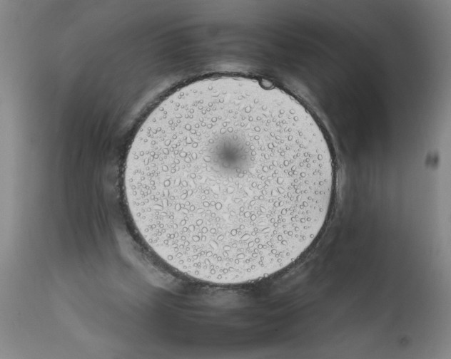 X0000111490249200908251032