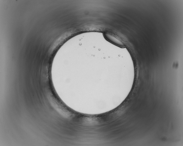 X0000111490250200908251032