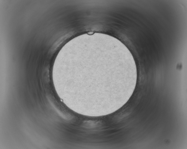 X0000111490251200908251032