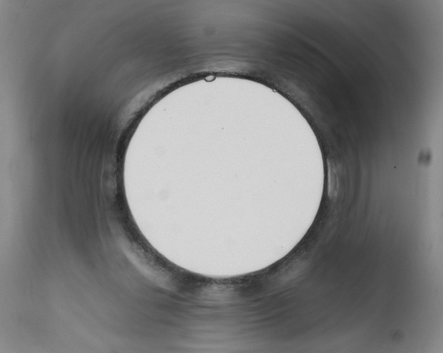 X0000111490252200908251032