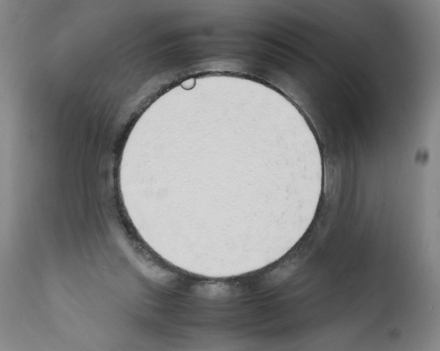 X0000111490253200908251032