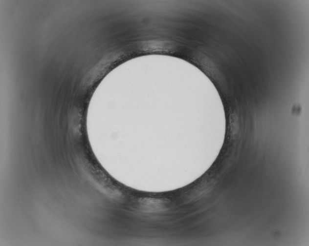 X0000111490255200908251032