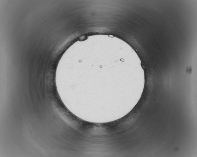 X0000111490256200908251032