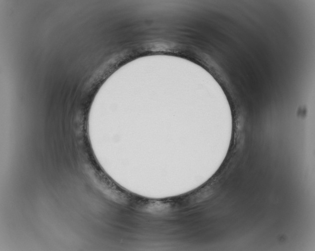 X0000111490257200908251032