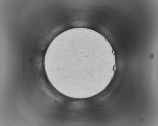 X0000111490259200908251032