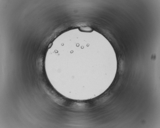 X0000111490260200908251032