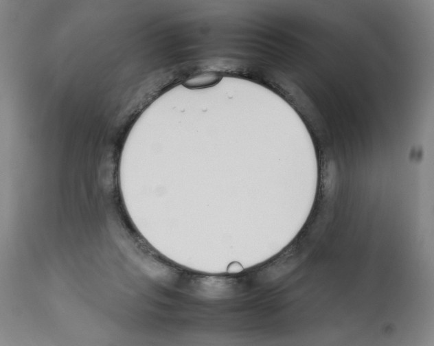 X0000111490261200908251032