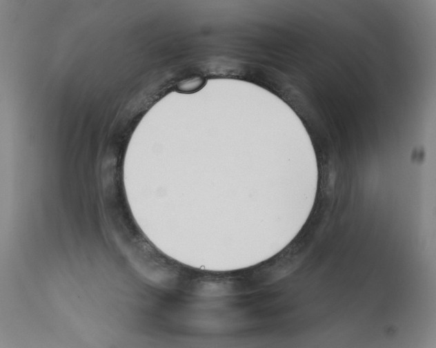 X0000111490263200908251032