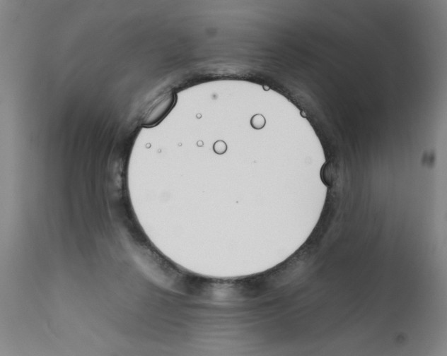 X0000111490264200908251033