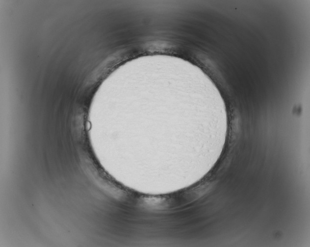 X0000111490265200908251033
