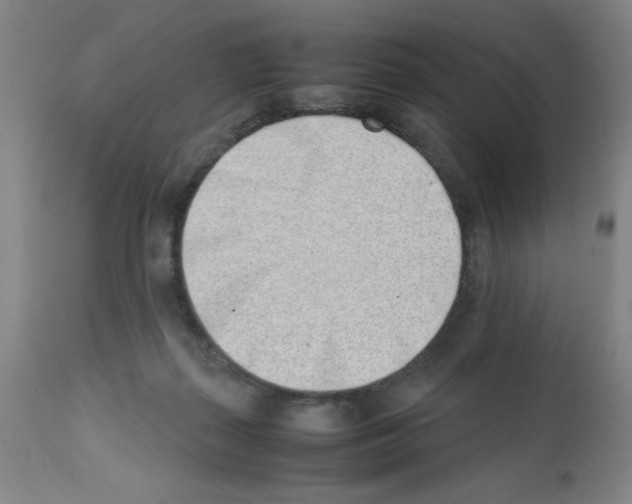 X0000111490267200908251033