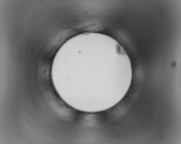 X0000111490268200908251033