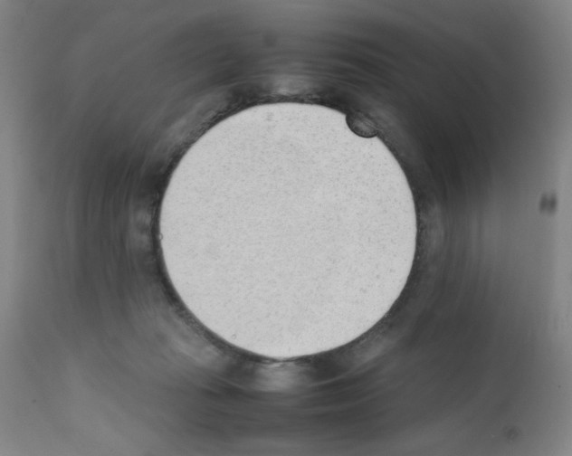 X0000111490269200908251033