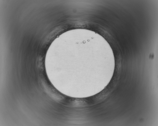 X0000111490270200908251033
