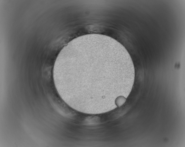 X0000111490271200908251033