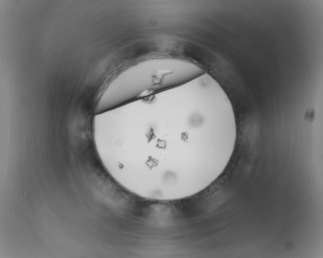 X0000111490272200908251033