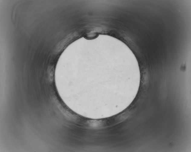 X0000111490273200908251033